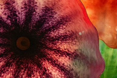 베타 존 경쟁 현장